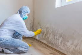 Best Residential Mold Inspection & Testing  in Oreana, IL