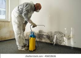 Best Mold Odor Removal Services  in Oreana, IL